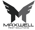 Mike's Pest Control Is Situated In The Center Of League City, TX